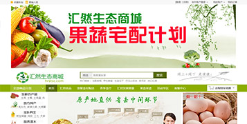 商城網(wǎng)站案例
