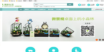 商城網(wǎng)站案例
