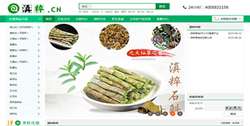 商城網(wǎng)站案例