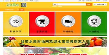 商城網(wǎng)站案例