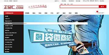 商城網(wǎng)站案例