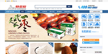 商城網(wǎng)站案例
