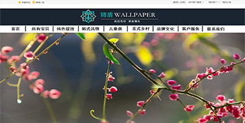 商城網(wǎng)站案例