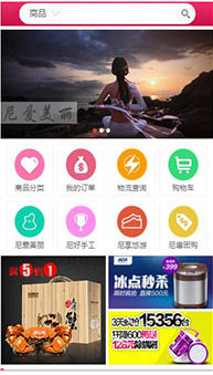 商城網(wǎng)站案例