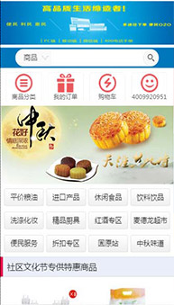 商城網(wǎng)站案例