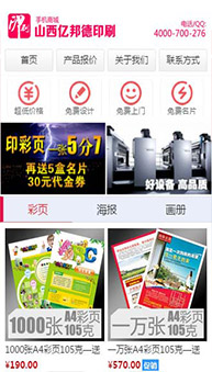商城網(wǎng)站案例