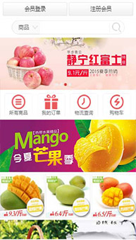 商城網(wǎng)站案例