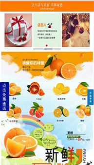 商城網(wǎng)站案例