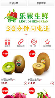 商城網(wǎng)站案例