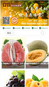 商城網(wǎng)站案例