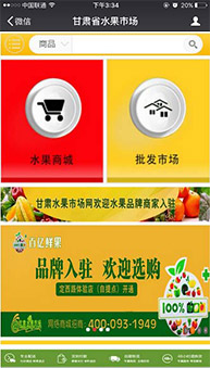 商城網(wǎng)站案例