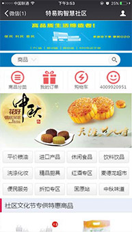 商城網(wǎng)站案例