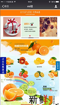 商城網(wǎng)站案例