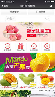 商城網(wǎng)站案例
