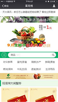 商城網(wǎng)站案例